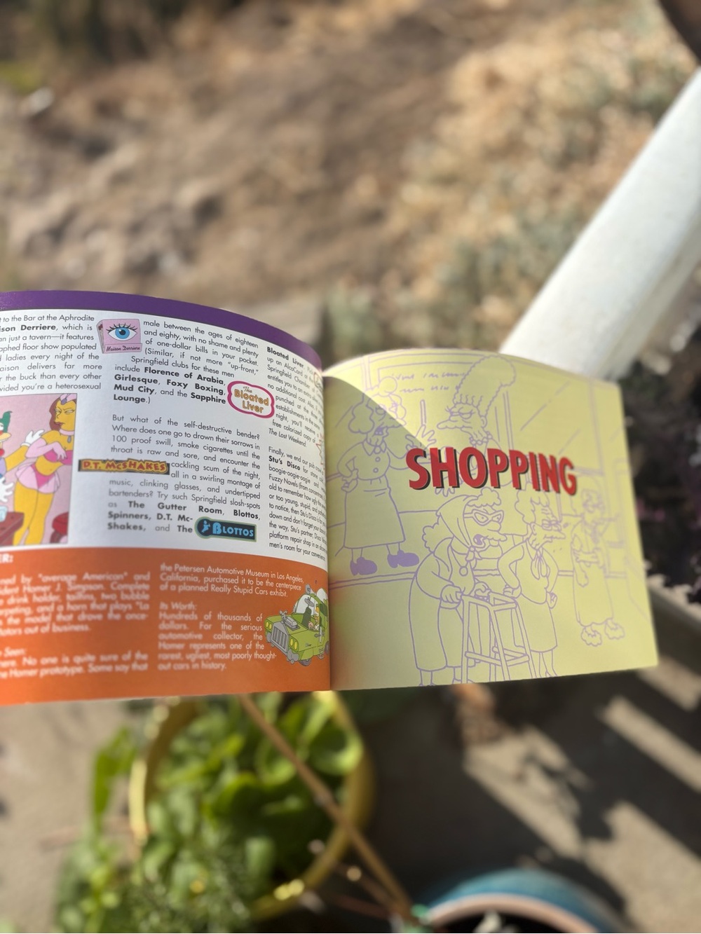 Springfield The Simpsons. Book - Picture 2 of 8